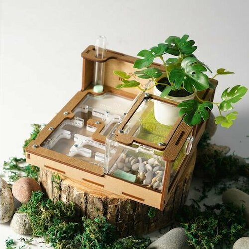 Муравьиная ферма 