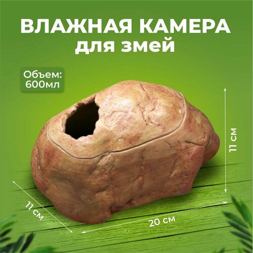 Влажная камера для рептилий 201111 см 2875₽