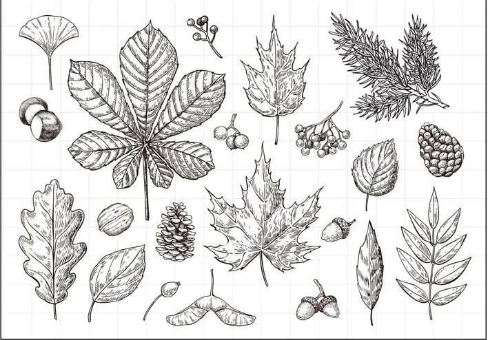 Прозрачный силиконовый штамп с листьями для скрапбукинга