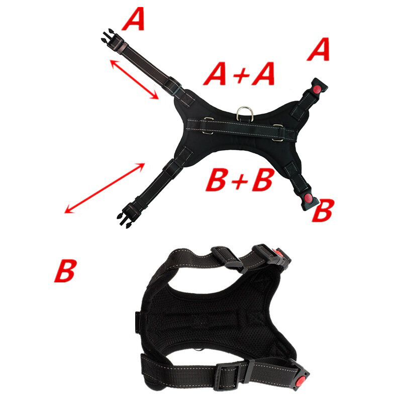 Изображение Шлейка для собаки регулируемая