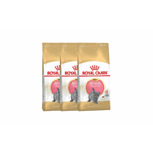 Royal Canin Kitten British Shorthair сухой корм для котят породы британская гладкошерстная - 400 г х 3 шт.