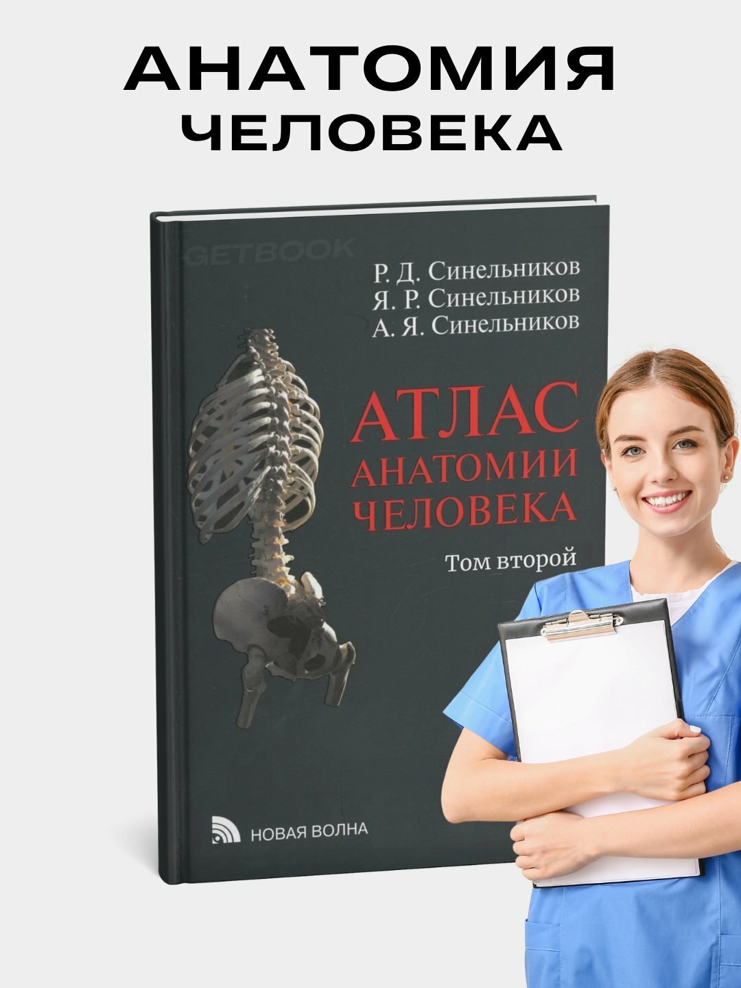 Атлас анатомии Синельников, том 2, мягкий переплет, цветные иллюстрации, 246 стр