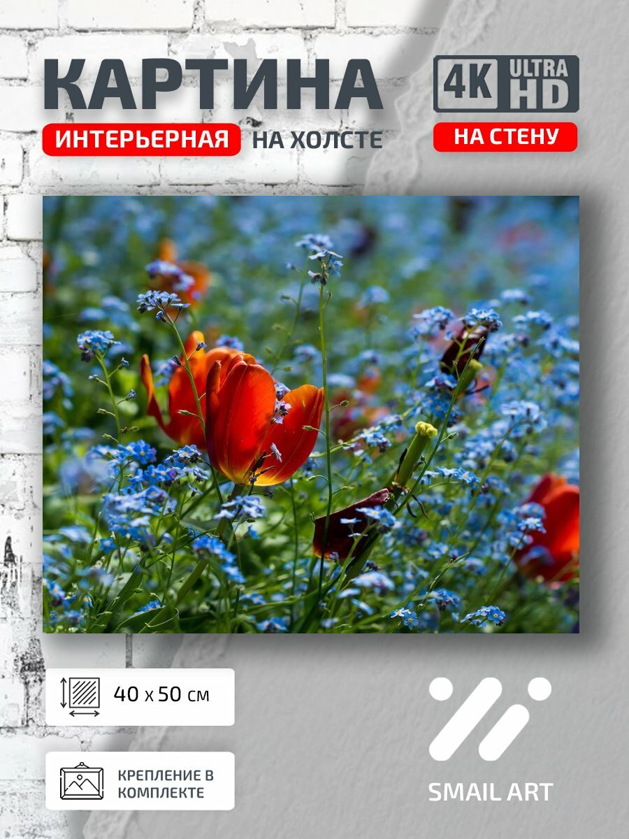 Картина на холсте интерьерная 40 на 50 на стену Полевые Landscape для гостиной пейзаж декор