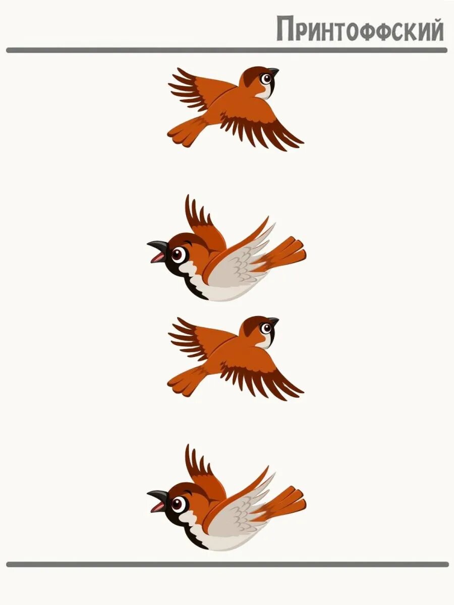 2-е (Две) Термонаклейки bird sparrow птица воробей