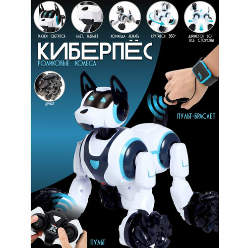 Интерактивная игрушка Робот собака на пульте управления, управление жестами, световые и звуковые эффекты, 2 цвета