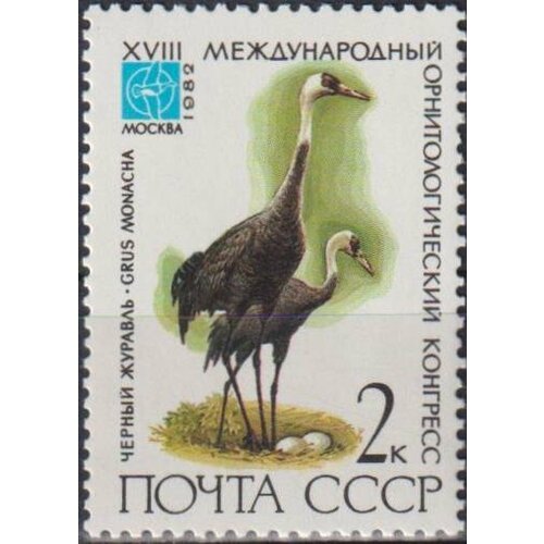 Почтовые марки СССР 1982г. Чёрный журавль Птицы MNH