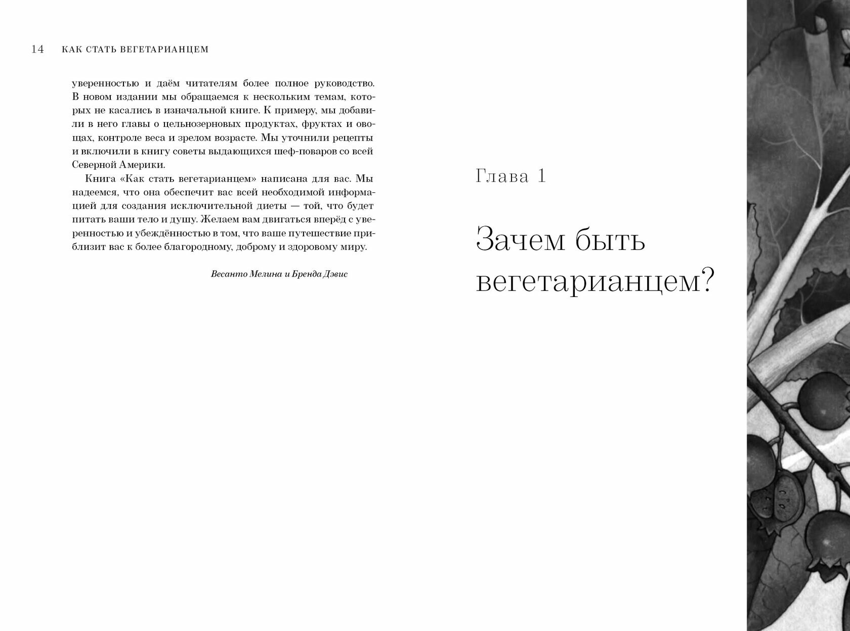 Как стать вегетарианцем. Детальное руководство - фото №7