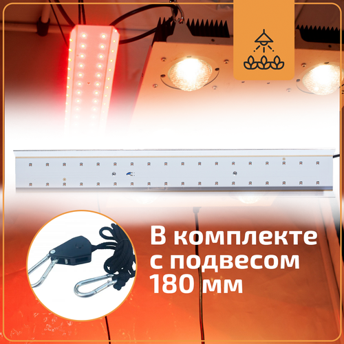 Фитолампа Rootster Add Light Red
