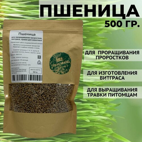 Пшеница для проращивания витграсса/проростков/травки для домашних животных семена 500 гр.