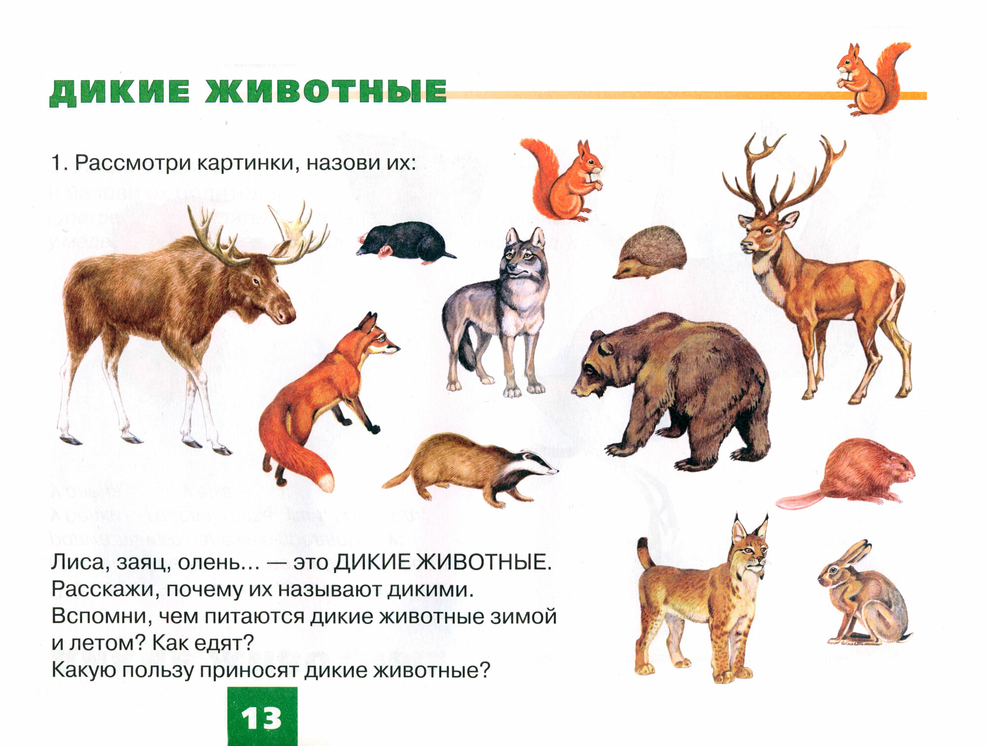Дидактический материал для развития лексико-грамматических категорий у детей 5-7 лет. Животные - фото №2