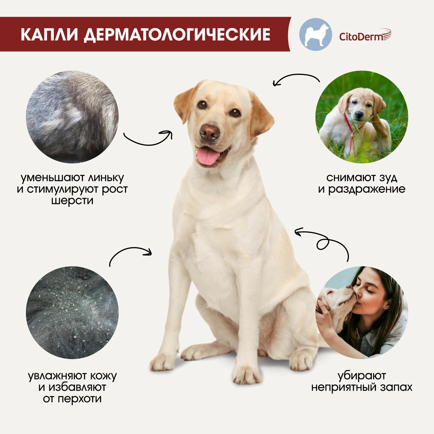 Капли дерматологические CitoDerm для собак 10-30 кг, 4 пипетки по 3мл - фото №8