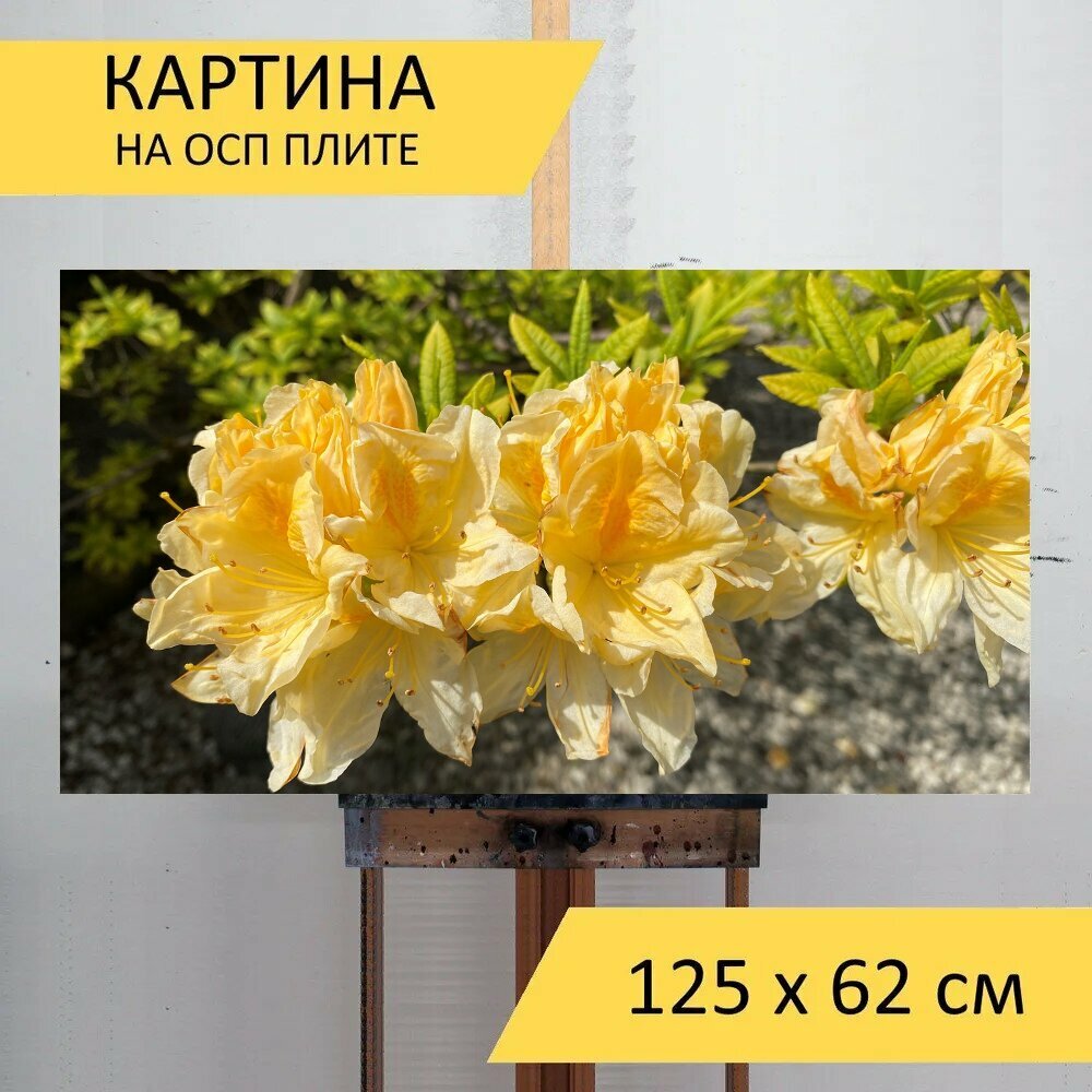 Картина на ОСП 125х62 см. 