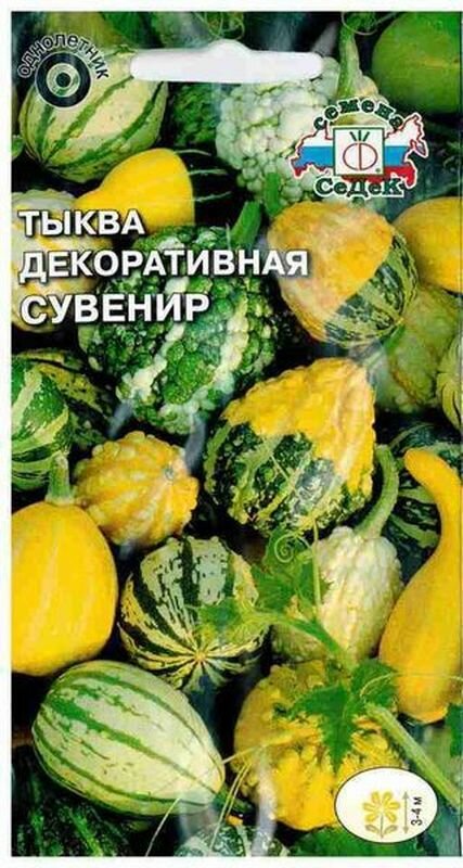 Семена Тыква дек. Сувенир смесь сортов (однолетние) (седек) 1г