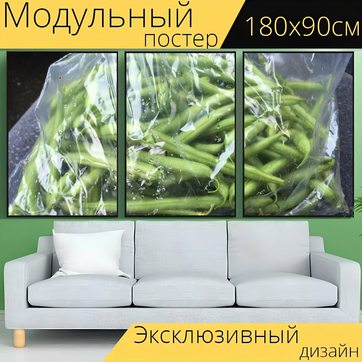 Модульный постер "Стручковая фасоль, полиэтиленовый пакет, овощ" 180 x 90 см. для интерьера