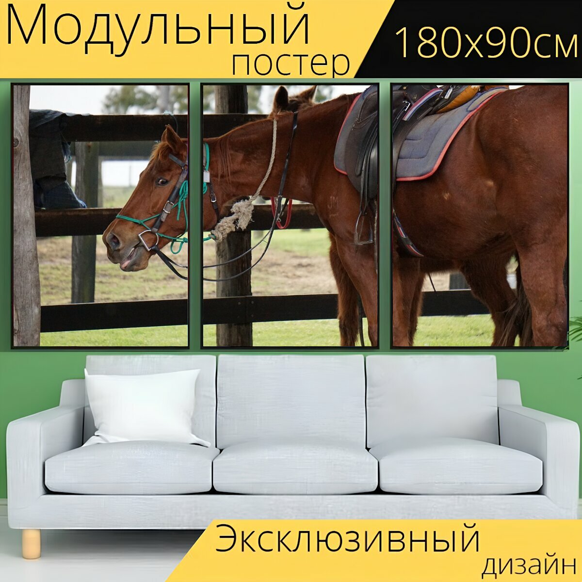 Модульный постер "Лошадь, стабильный, животное" 180 x 90 см. для интерьера