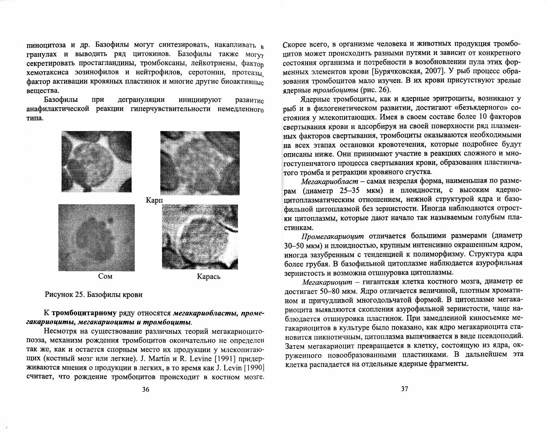 Методология физиолого-иммунологической оценки гидробионтов. Учебное пособие - фото №3