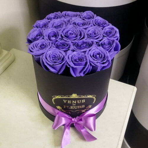 Букет живых цветов фиолетовые розы в коробке 19 шт.