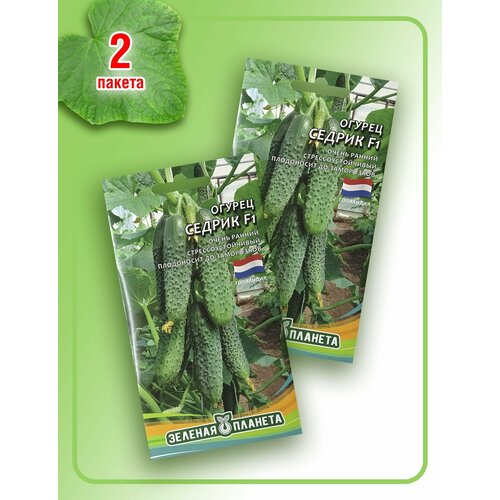 Огурец Седрик F1 (2 пакета по 8 семян)