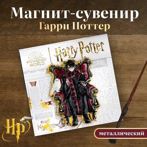 Магнит-сувенир металлический Гарри Поттер Гарри Поттер 654₽