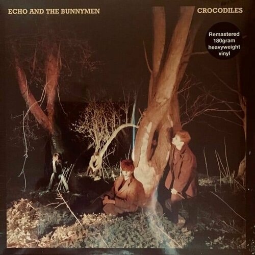 Echo & The Bunnymen – Crocodiles