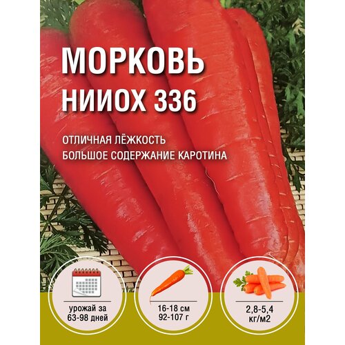 Морковь нииох 336 (1 пакет по 2гр) морковь нииох 336 5 пакетов по 2гр