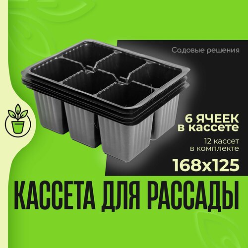 Кассеты для рассады, ящики для рассады, № 13, малая кассета квадрат 6 ячеек 168*123 155 мл - 12 шт, 