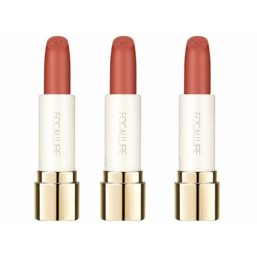 Помада для губ Focallure, Pure Matte Lipstick, тон OR06, 3,7 гр, 3 шт