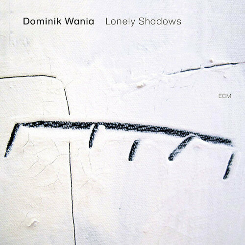 Виниловая пластинка Dominik Wania / Lonely Shadows (LP)