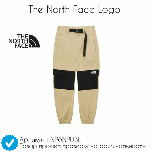 Брюки The North Face The North Face Logo, размер XL, черный, бежевый