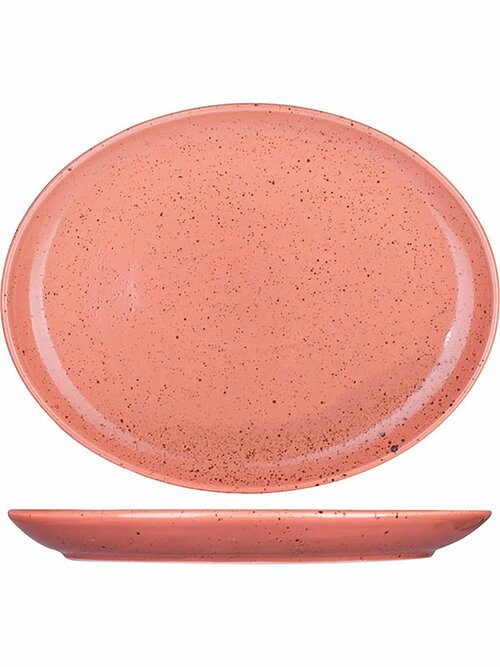 Блюдо овальное Lilien Austria Lifestyle Terracotta фарфоровое 28x21,5 см