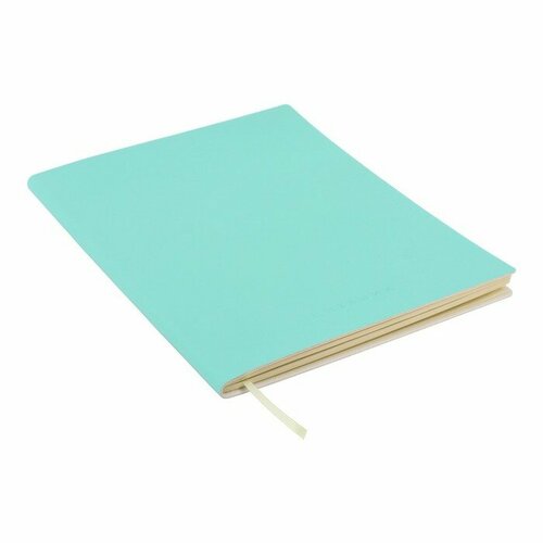 Дневник deVENTE Minty Soft Touch, универсальный, 1-11 класс, мягкая обложка, экокожа, ляссе, 80 г/м2 (2222336)