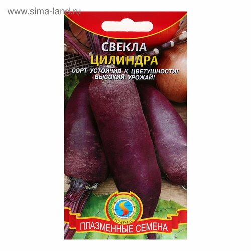 Семена Свекла 
