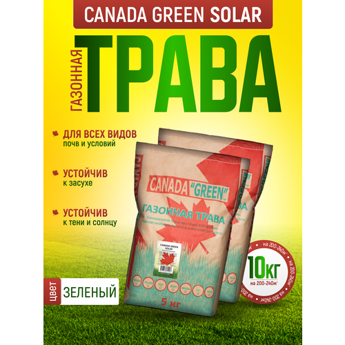 Газонная трава семена Канада Грин Солнцеустойчивая 10 кг / Canada Green Solar 10 кг газонная трава семена канада грин солнцеустойчивая 5кг canada green solar 5 кг