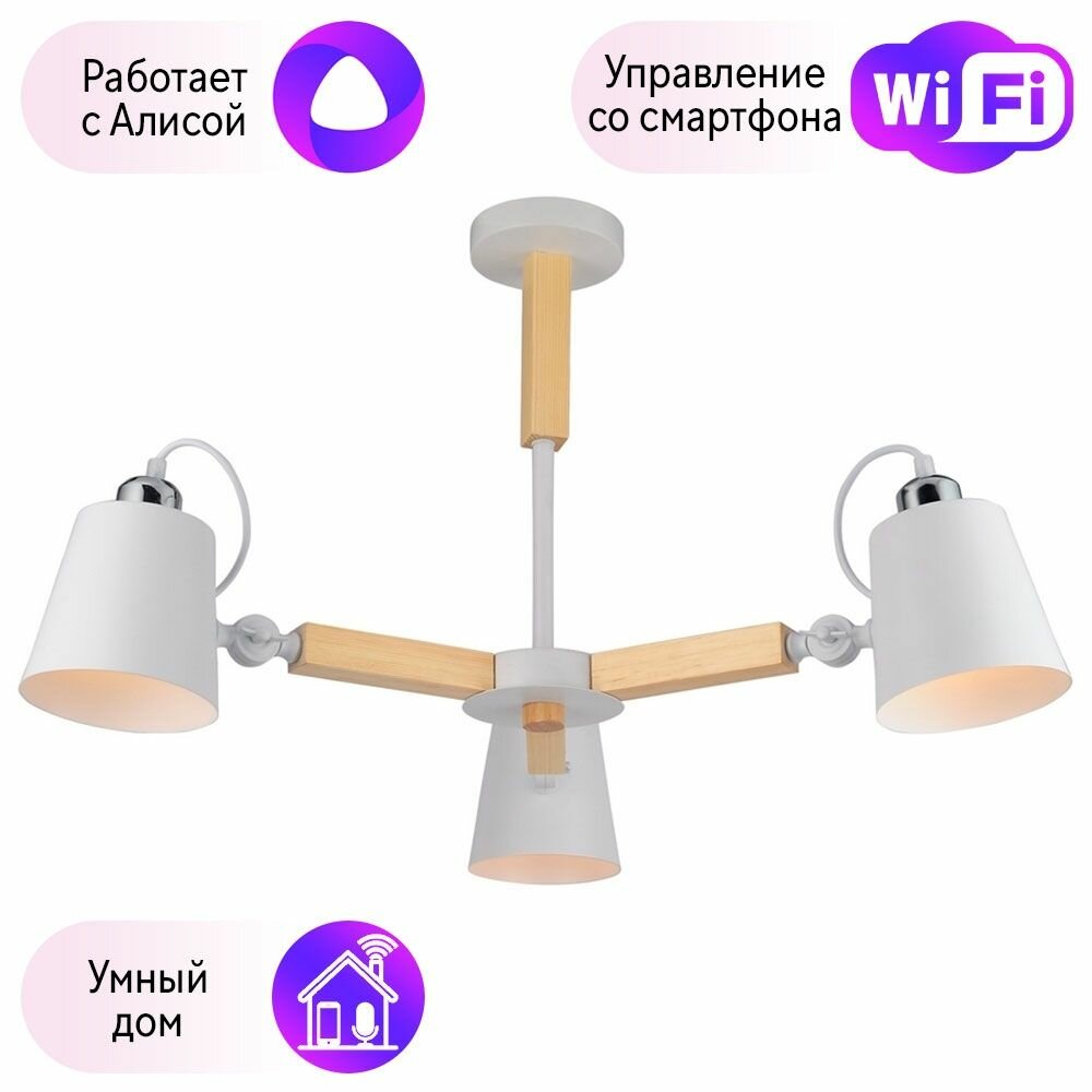 Потолочная люстра Arte Lamp с поддержкой Алиса A7141PL-3WH-A - фото №1