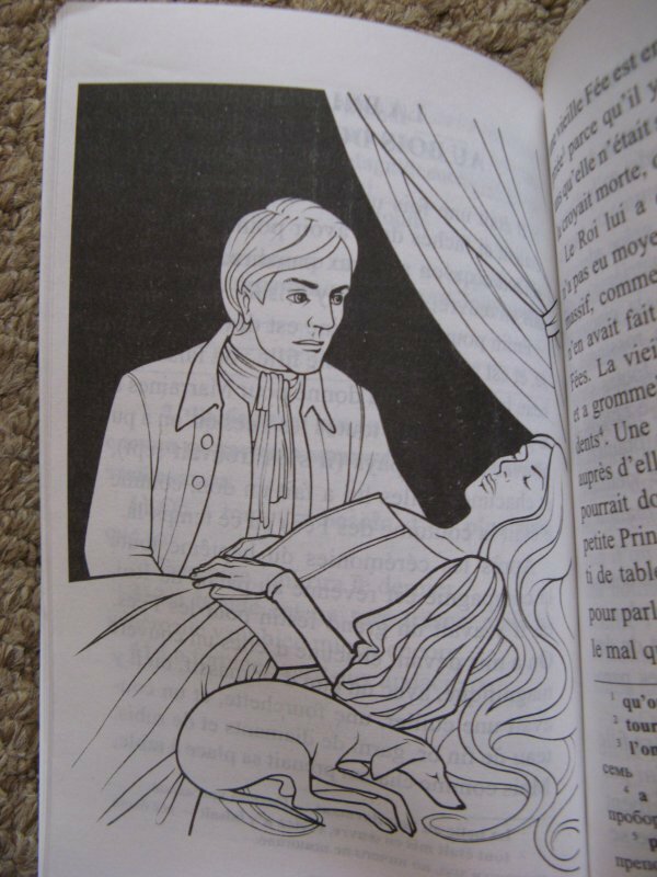 Французские сказки = Contes de fees francais. 1 уровень. Словарь, комментарии, упражнения - фото №11