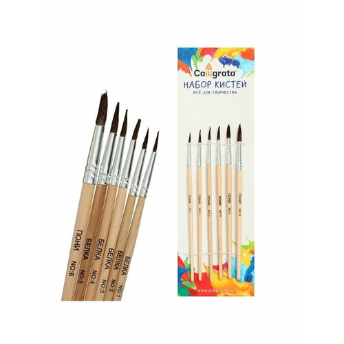 Набор кистейПони круглые 6 штук 343₽