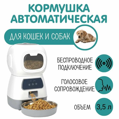 Автоматическая кормушка для кошек и собак, 3,5 л, wi-fi, таймер