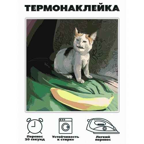Термонаклейка на одежду мем Кот Орет