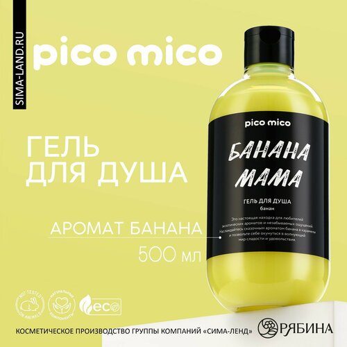       , 500 ,  , PICO MIO