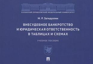 Внесудебное банкротство и юридическая ответственность в таблицах и схемах - фото №2