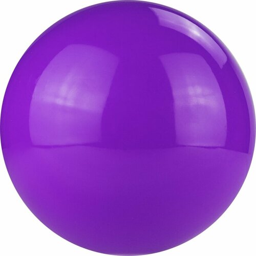 Мяч для художественной гимнастики однотонный TORRES, арт. AG-19-09, диаметр 19 см, ПВХ, лиловый