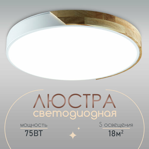 Люстра потолочная светодиодная с пультом для кухни спальни 75 Ватт. WEDO LIGHT белый