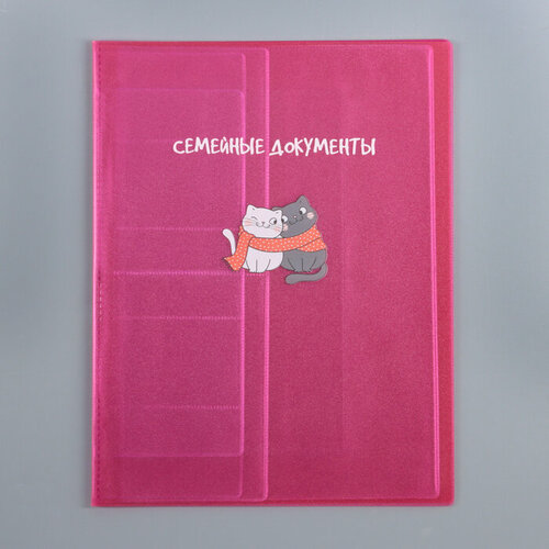 Папка для семейных документов 