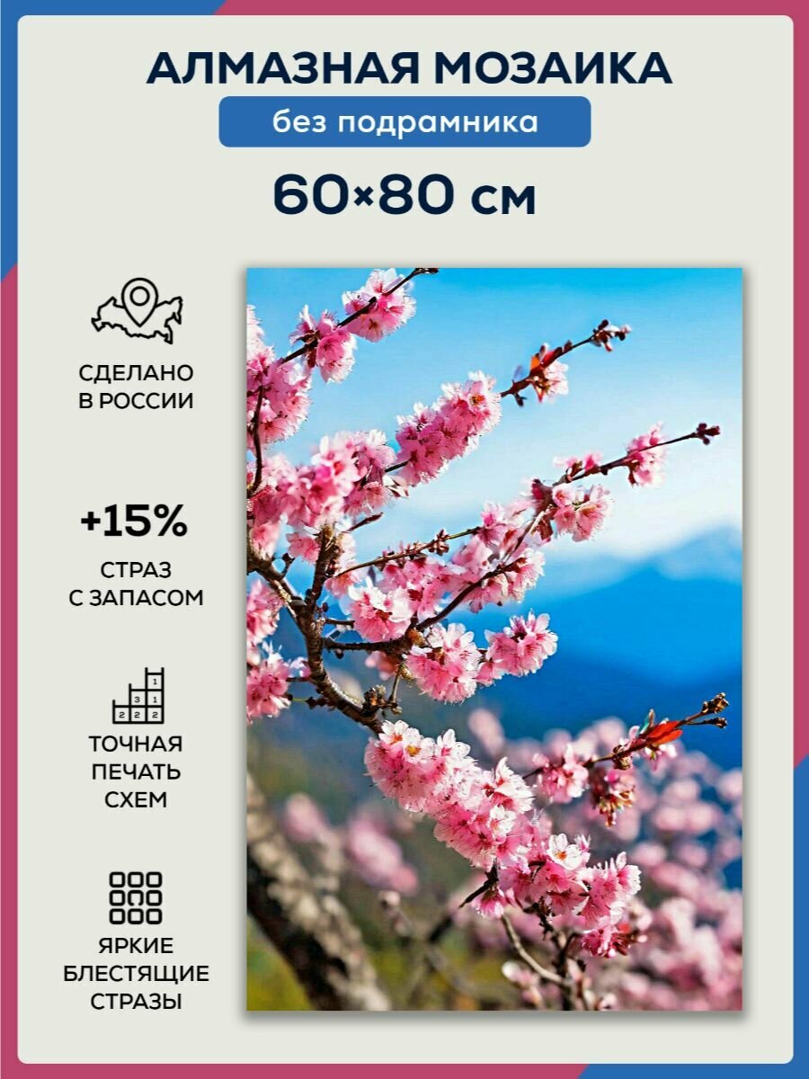 Алмазная мозаика 60x80 Сакура без подрамника