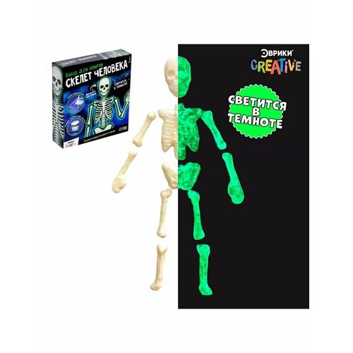 Набор для опытов Скелет человека 585₽