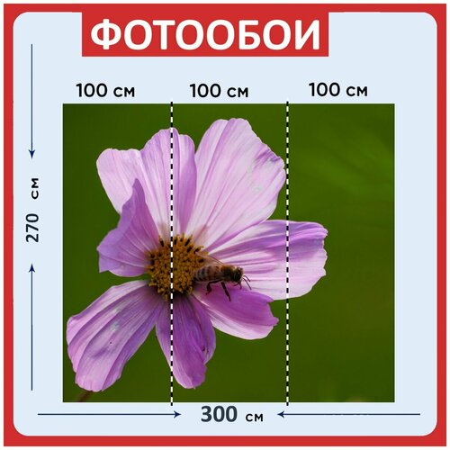 Фотообои Фиолетовый космос пчела 300x270 см флизелиновыена стену 2980₽