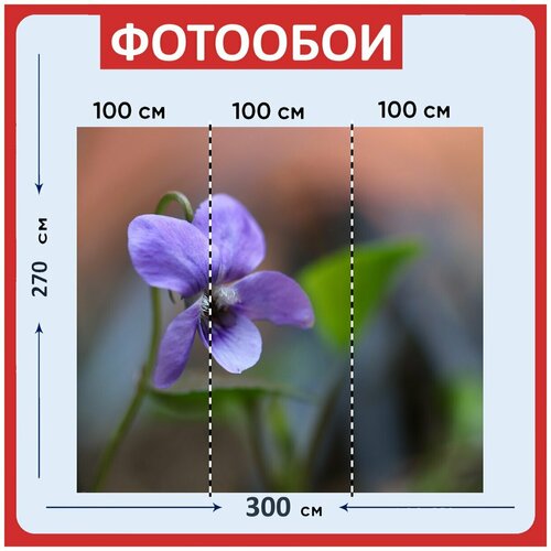 Фотообои Фиолетовый цвести рублевую 300x270 см флизелиновыена стену 2980₽