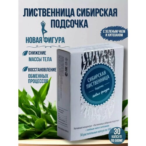 Сибирская Лиственница Новая Фигура