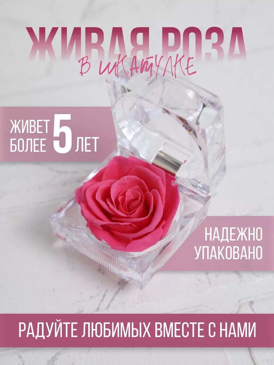 Роза в колбе шкатулке живая стабилизированная подарочная