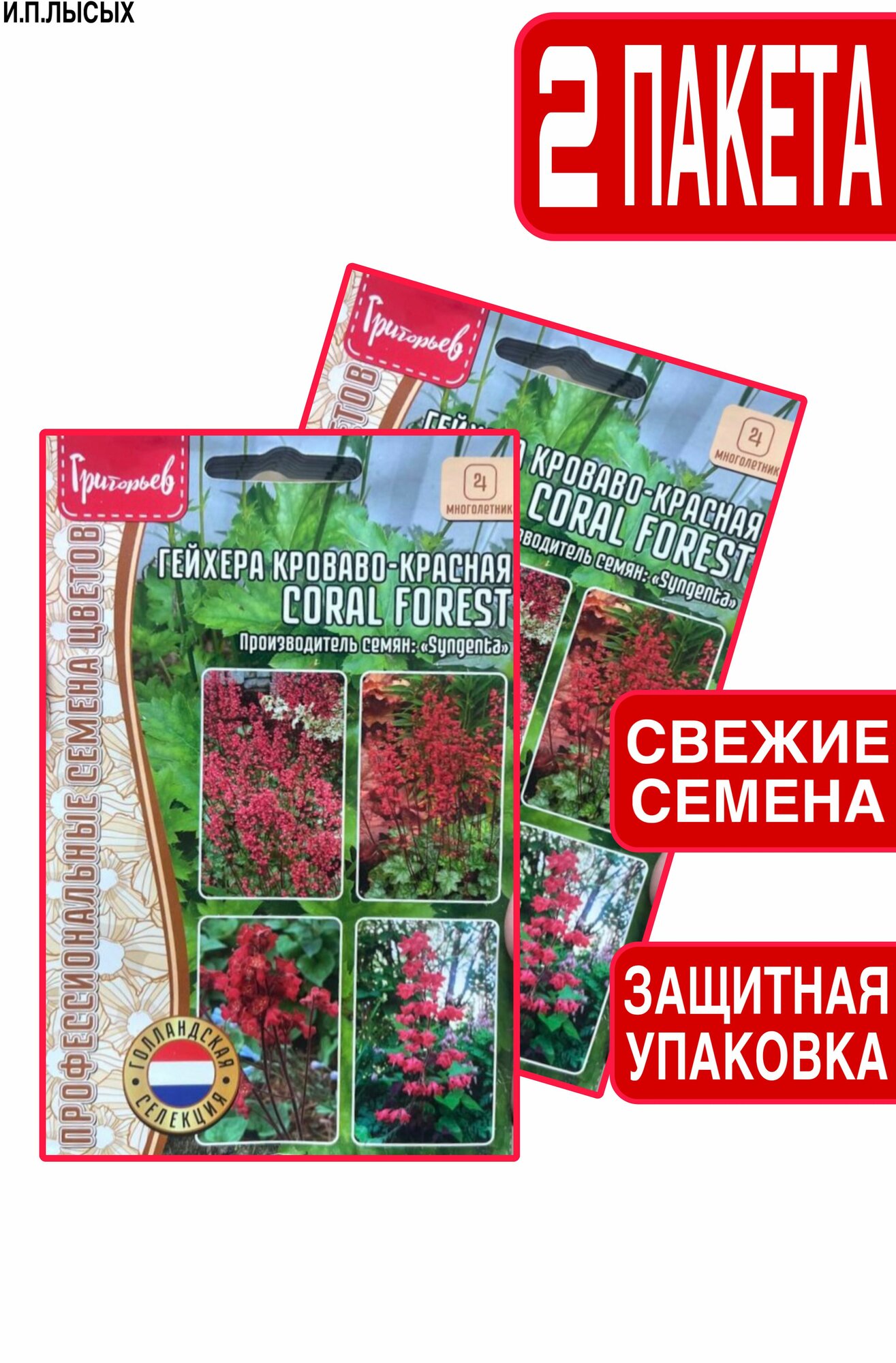Семена Гейхера кроваво-красная